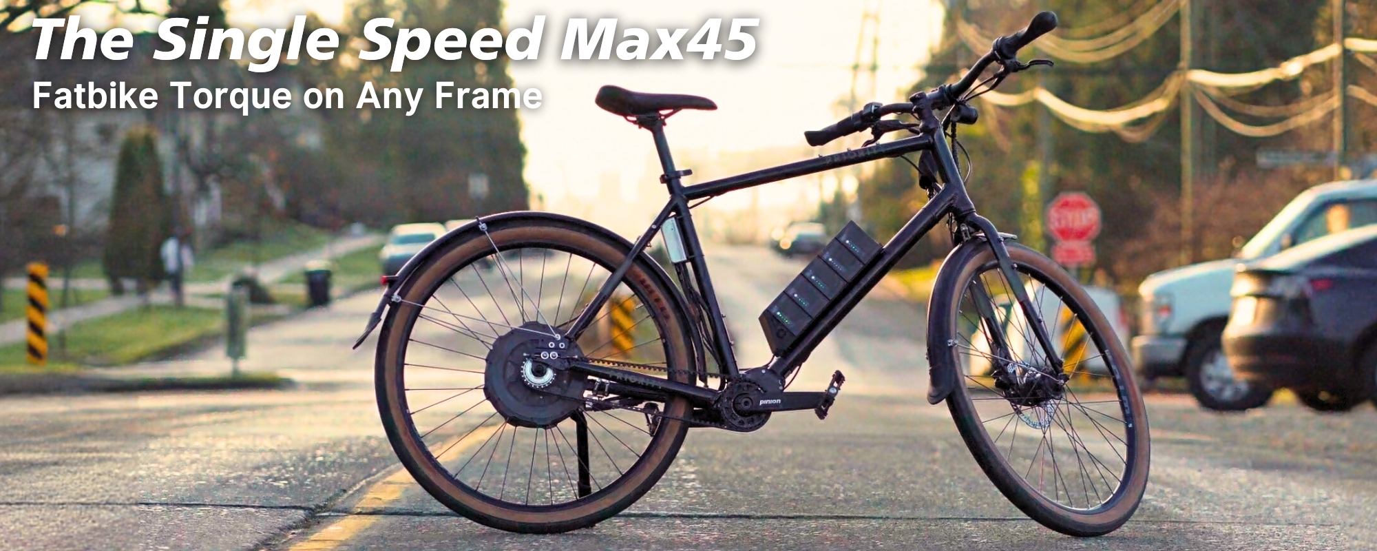 The Max45 Single Speed Motor on a Belt Drive Pinion Gearbox Bike with LiGo Batteries. Doesn't get more Grin worthy than this!