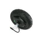 8" Barebones Scooter Kit