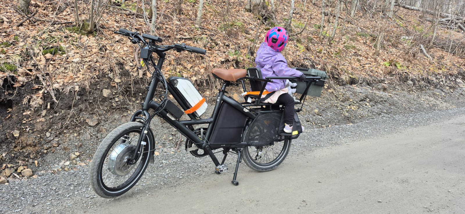 Tern Cargo bikes (2 bikes)