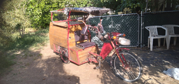 SB Cruiser 2WD Heavy-Cargo Trike & Dog Carrier
