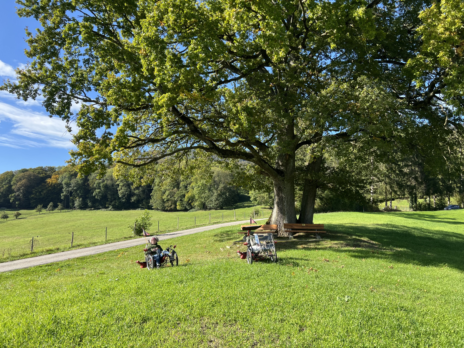 pleasure stopp over next a wonderful oak