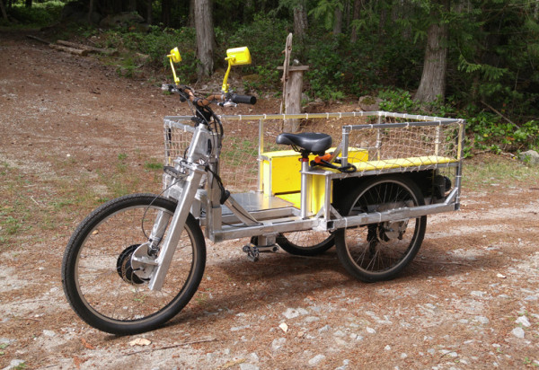 Electric bike with sidecar